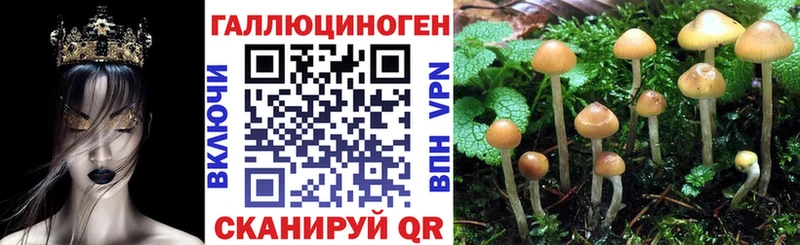 Псилоцибиновые грибы Psilocybe  Купить где  Лангепас 